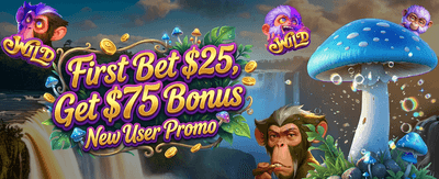 Daily Spin Fortune